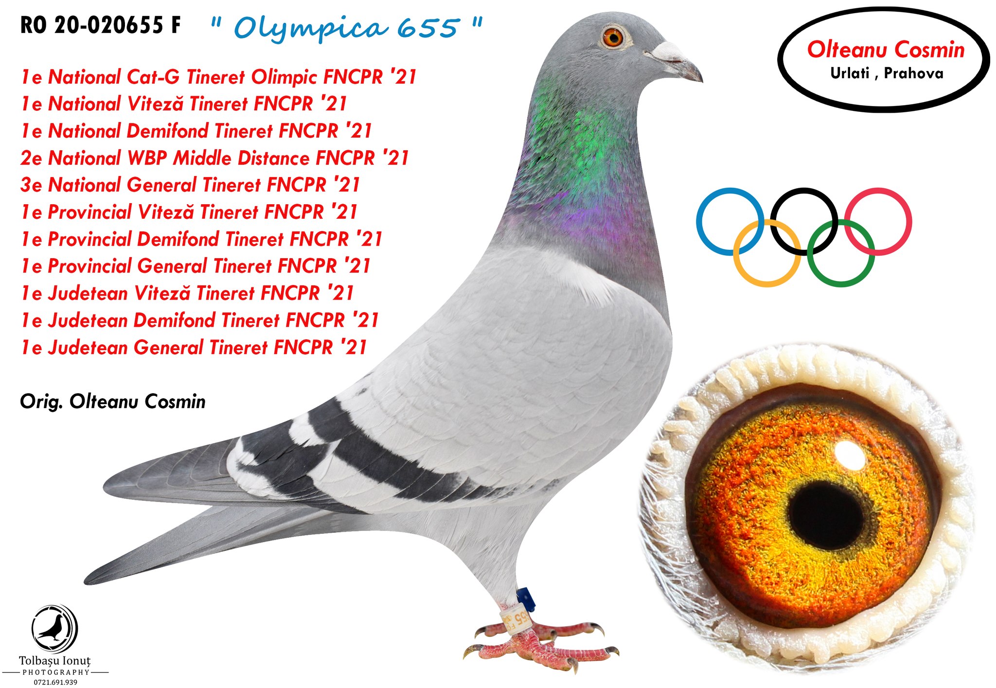 5.RO-24-24245 M ♂ Nepot Olympica 655 Olteanu Cosmin Loc 1 Lot Romania Cat.G - Tineret Olympiada Oradea 2022 Loc 1 Nat Viteză Tineret - imagine 3