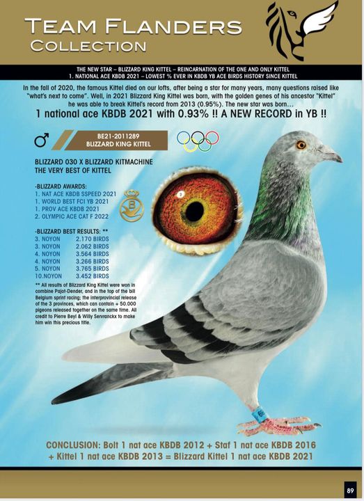 5.RO-24-24245 M ♂ Nepot Olympica 655 Olteanu Cosmin Loc 1 Lot Romania Cat.G - Tineret Olympiada Oradea 2022 Loc 1 Nat Viteză Tineret - imagine 4