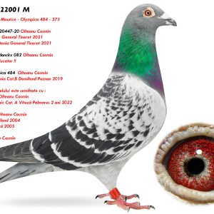 4.RO-22-22001 M ♂ Semifrate 0020447-20 Olteanu Cosmin 7e Nat. FCPR General Tineret 2021 2e Prov. Muntenia General Tineret 2021