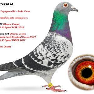 RO-24-24298 M ♂ Mama porumbelului este semisoră cu : 9009147-17 2e National AS Speed FCPR 2018