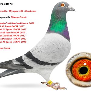 RO-24-24338 M ♂ Nepot Olympica 484 Olteanu Cosmin 1e Lot Romania Cat.B Demifond Poznan 2019
