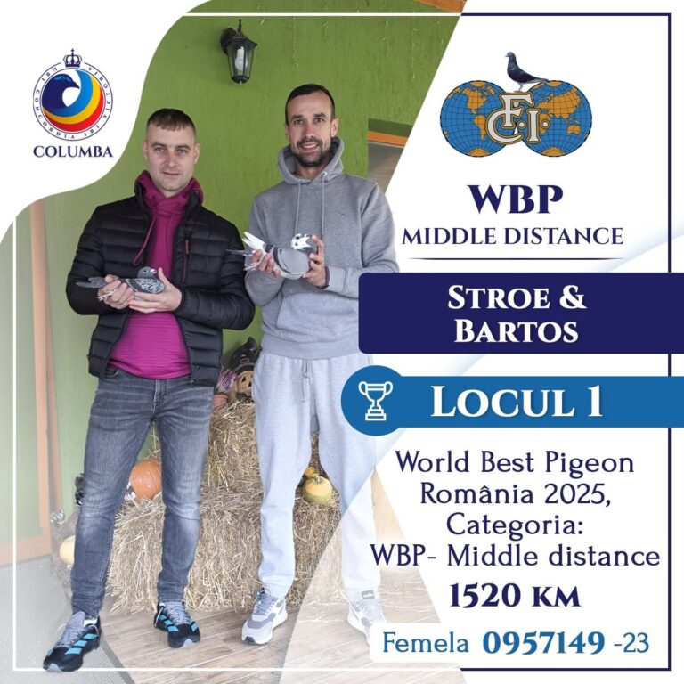 Stroe & Bartos revelatia seozonului 2025-2026 !