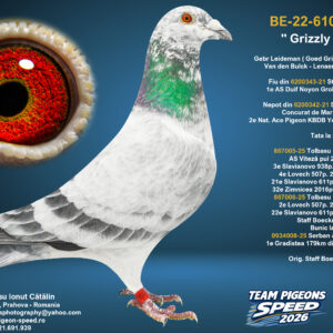 BE-22-6105435 M