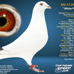 RO-17-017978 F